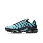 Air Max Plus Aqua Silver