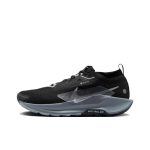 Pegasus Trail 5 GORE-TEX 'Black Wolf Grey'
